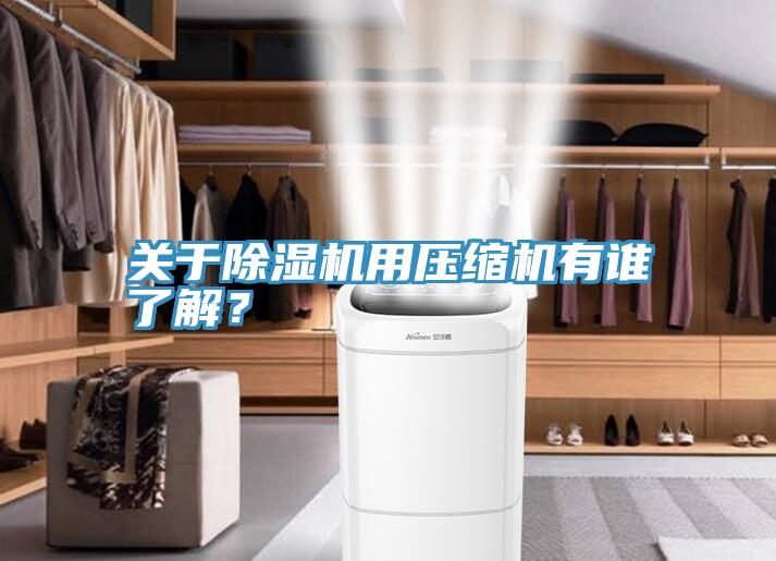 關(guān)于除濕機用壓縮機有誰了解?