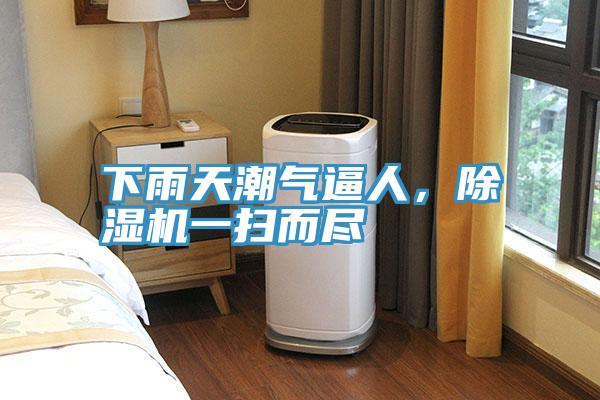 下雨天潮氣逼人,除濕機(jī)一掃而盡