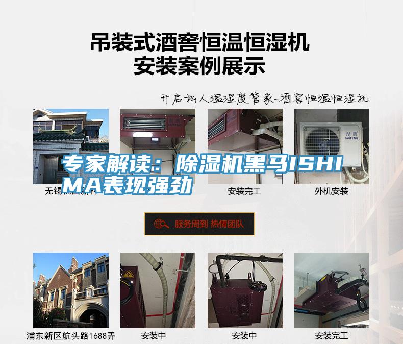 專家解讀:除濕機(jī)黑馬ISHIMA表現(xiàn)強(qiáng)勁
