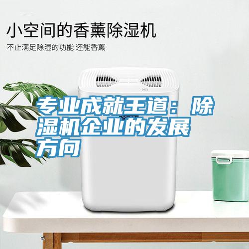 專業(yè)成就王道:除濕機(jī)企業(yè)的發(fā)展方向