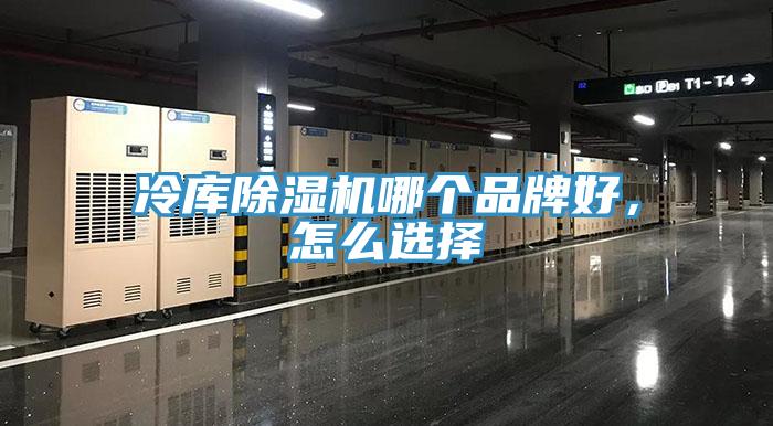 冷庫除濕機哪個品牌好，怎么選擇