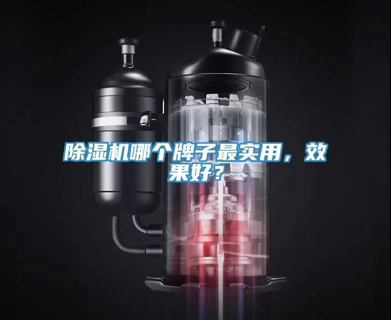 除濕機哪個牌子最實用，效果好？
