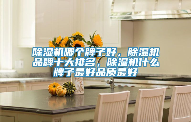 除濕機哪個牌子好，除濕機品牌十大排名，除濕機什么牌子最好品質(zhì)最好
