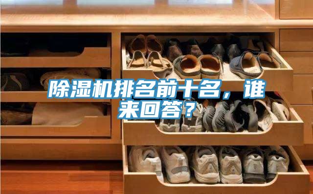 除濕機排名前十名，誰來回答？