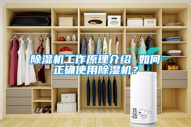 除濕機(jī)工作原理介紹 如何正確使用除濕機(jī)？