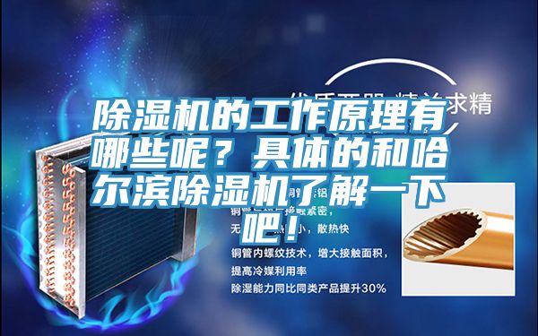 除濕機的工作原理有哪些呢？具體的和哈爾濱除濕機了解一下吧！