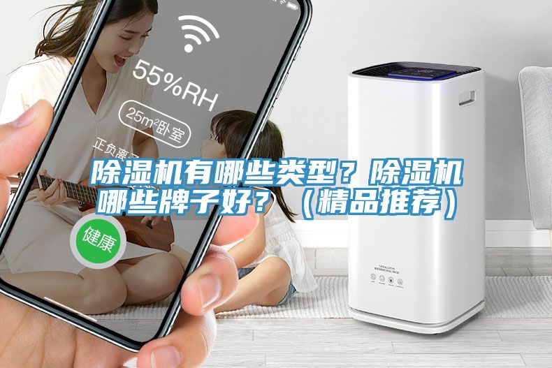 除濕機有哪些類型？除濕機哪些牌子好？（精品推薦）